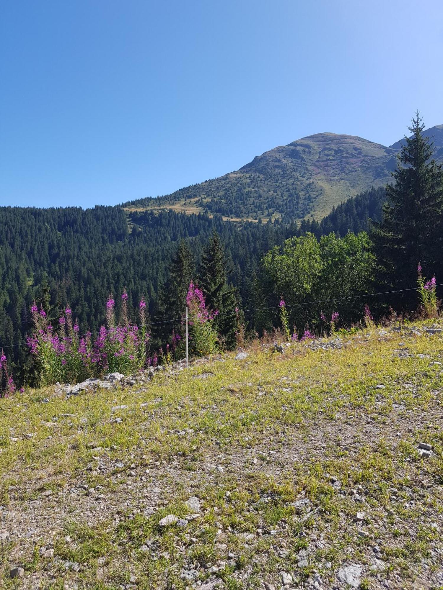 Les 7 Laux Immobilier Chalet E Prapoutel Kültér fotó